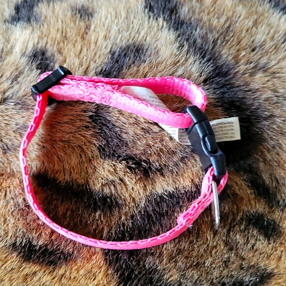 Small pet collar